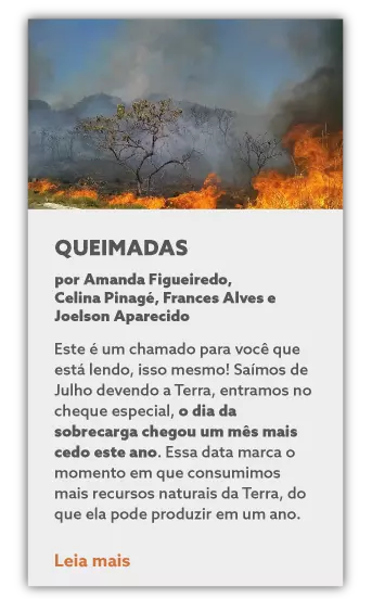 queimadas-muvuca