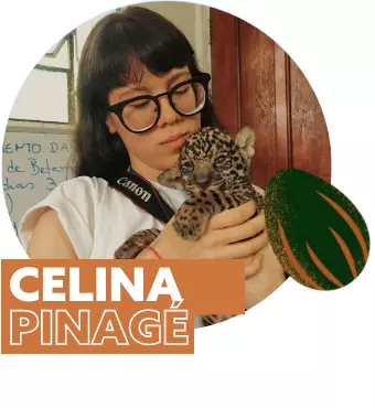 celina-muvuca